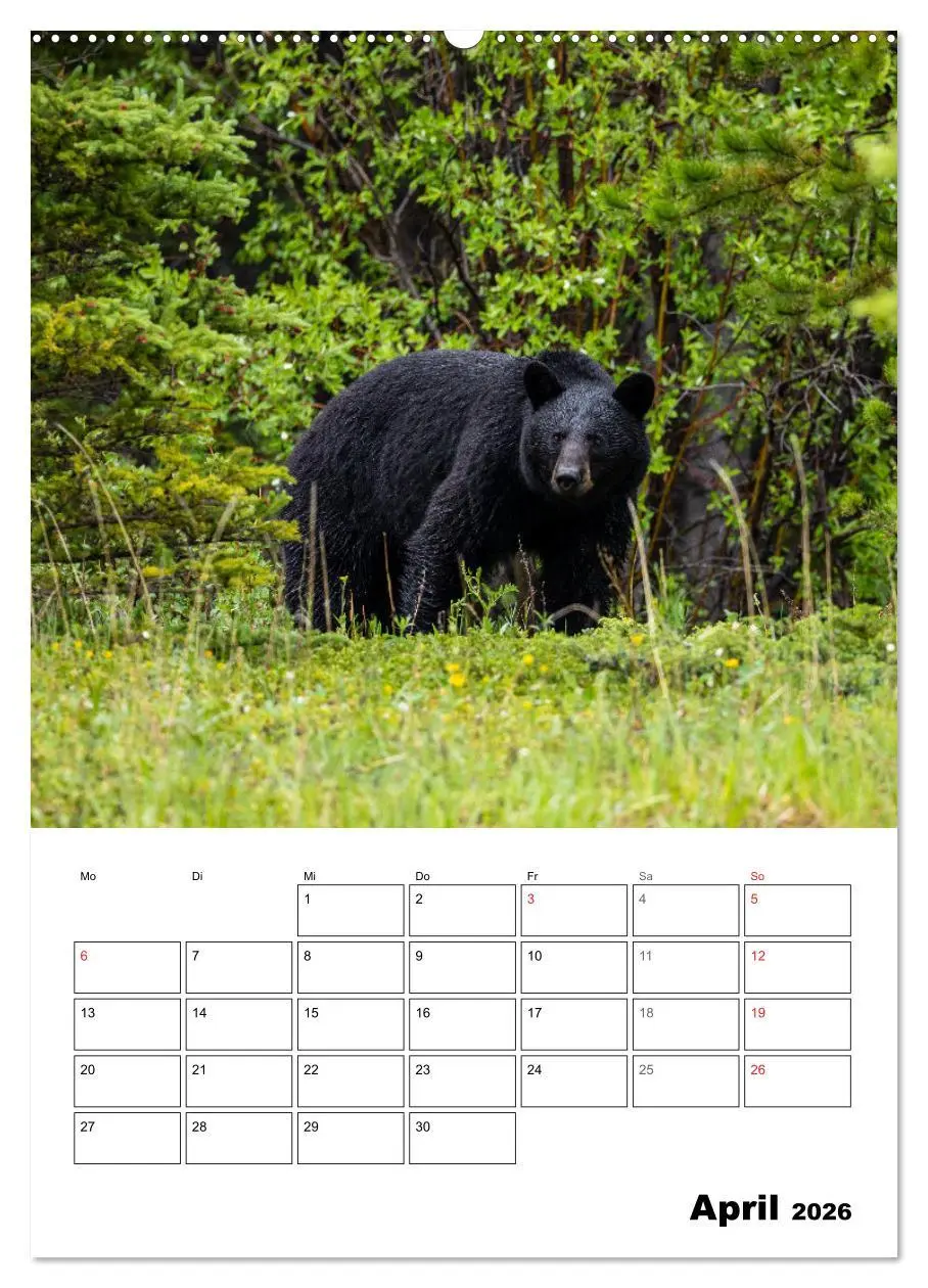 Bild: 9783516365191 | Mein Schönes Kanada (Wandkalender 2026 DIN A2 hoch), CALVENDO...