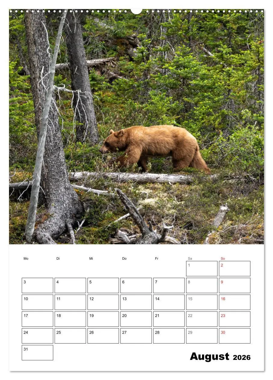 Bild: 9783516365191 | Mein Schönes Kanada (Wandkalender 2026 DIN A2 hoch), CALVENDO...