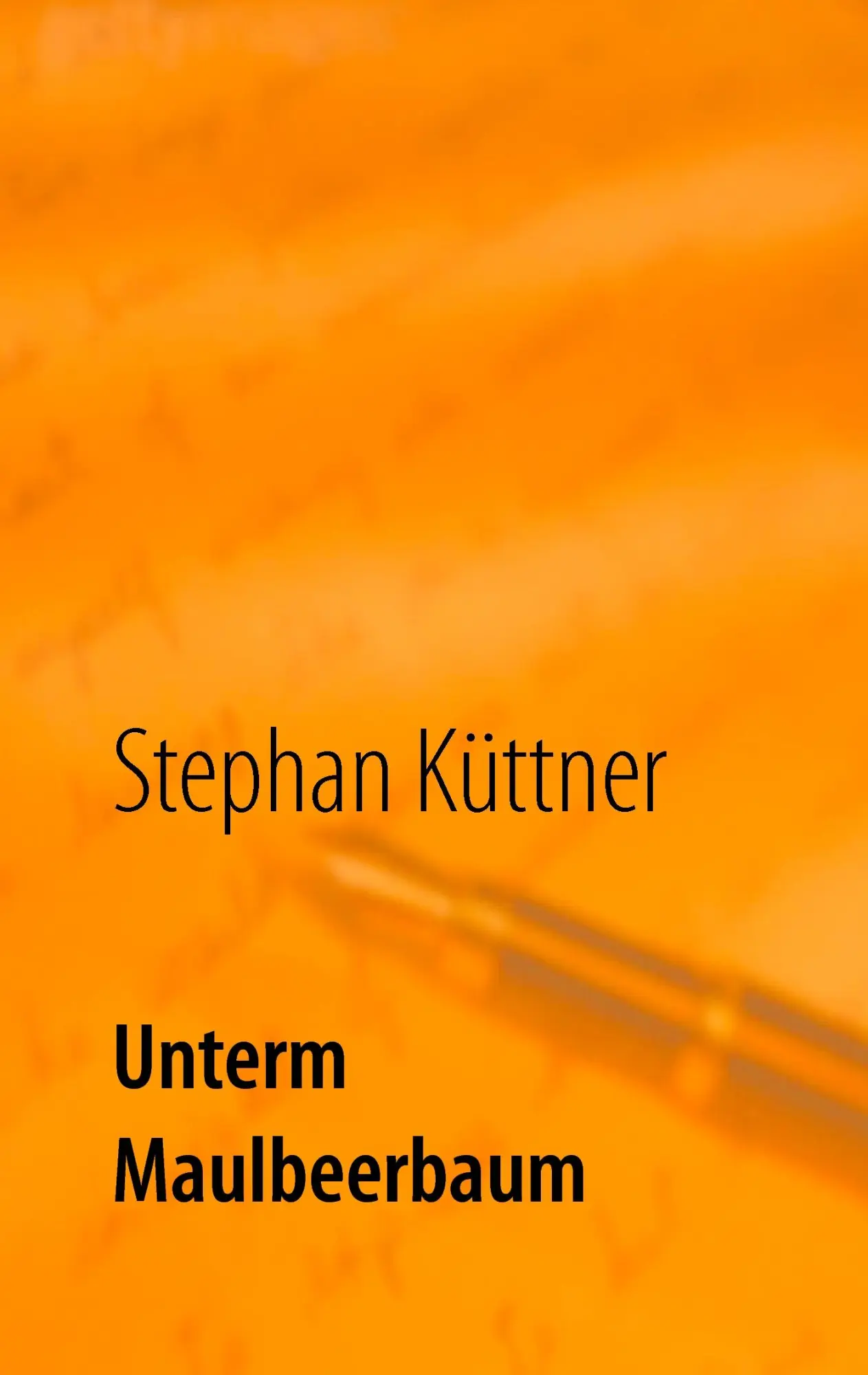Cover: 9783735775191 | Unterm Maulbeerbaum | Eine Lebensgeschichte zwischen den Geschlechtern