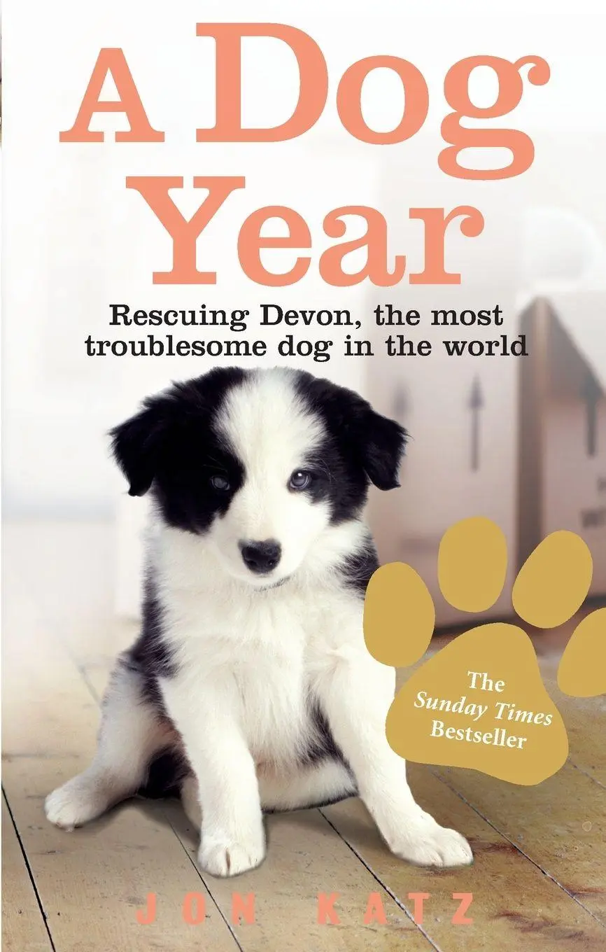 Cover: 9780091925291 | A Dog Year | Jon Katz | Taschenbuch | Englisch | 2008 | Ebury Press