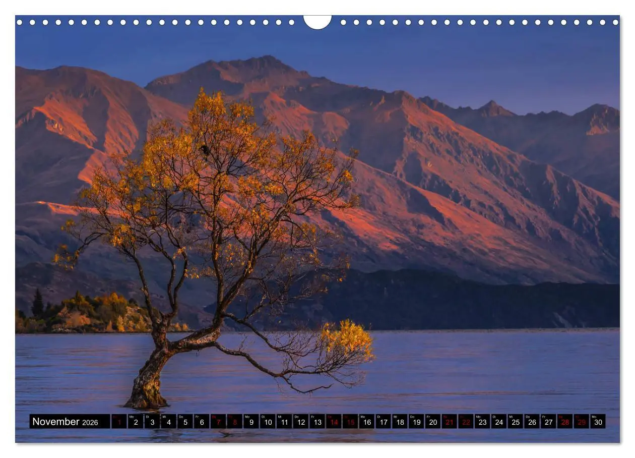 Bild: 9783457885291 | Trauminseln Neuseeland (Wandkalender 2026 DIN A3 quer), CALVENDO...