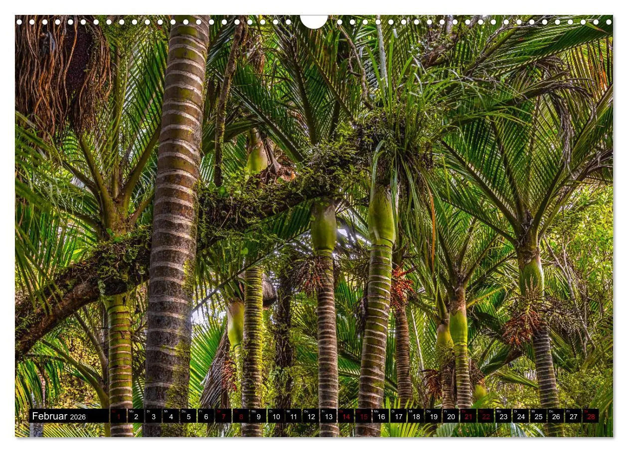 Bild: 9783457885291 | Trauminseln Neuseeland (Wandkalender 2026 DIN A3 quer), CALVENDO...