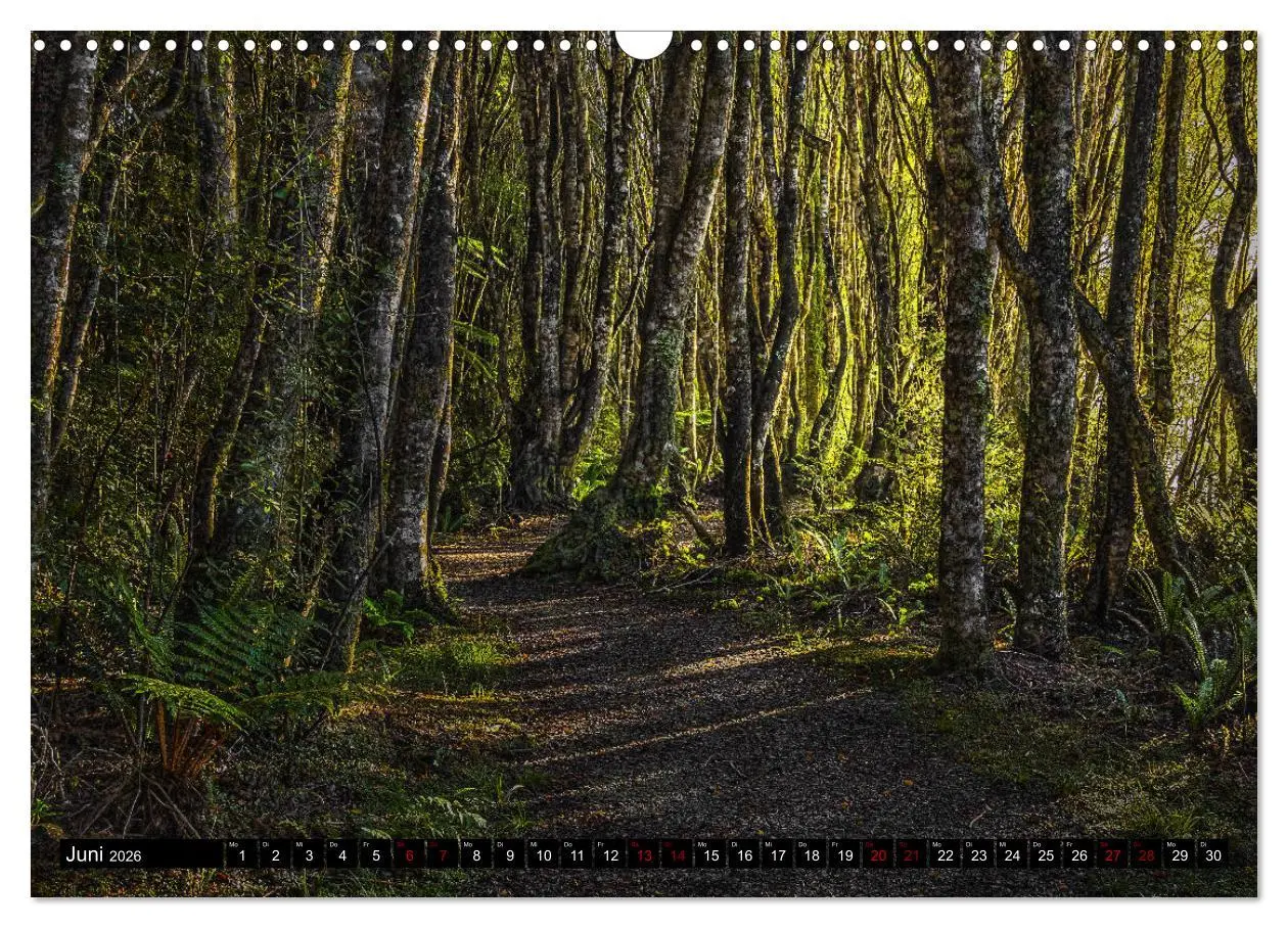 Bild: 9783457885291 | Trauminseln Neuseeland (Wandkalender 2026 DIN A3 quer), CALVENDO...