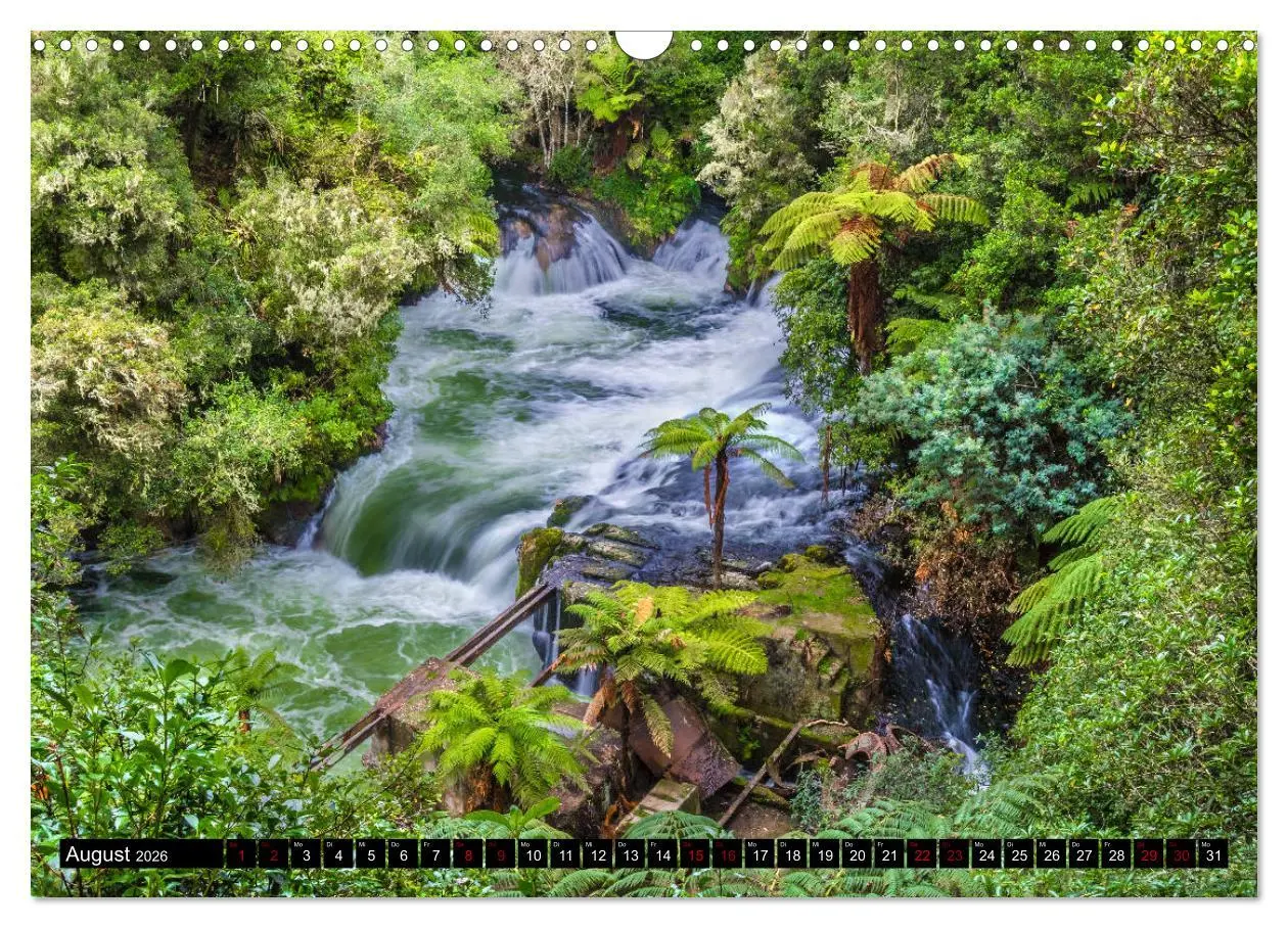 Bild: 9783457885291 | Trauminseln Neuseeland (Wandkalender 2026 DIN A3 quer), CALVENDO...