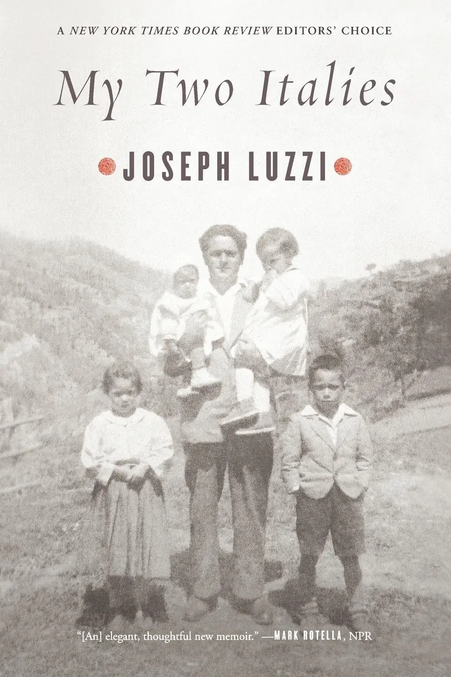 Cover: 9780374535391 | My Two Italies | A Personal and Cultural History | Joseph Luzzi | Buch