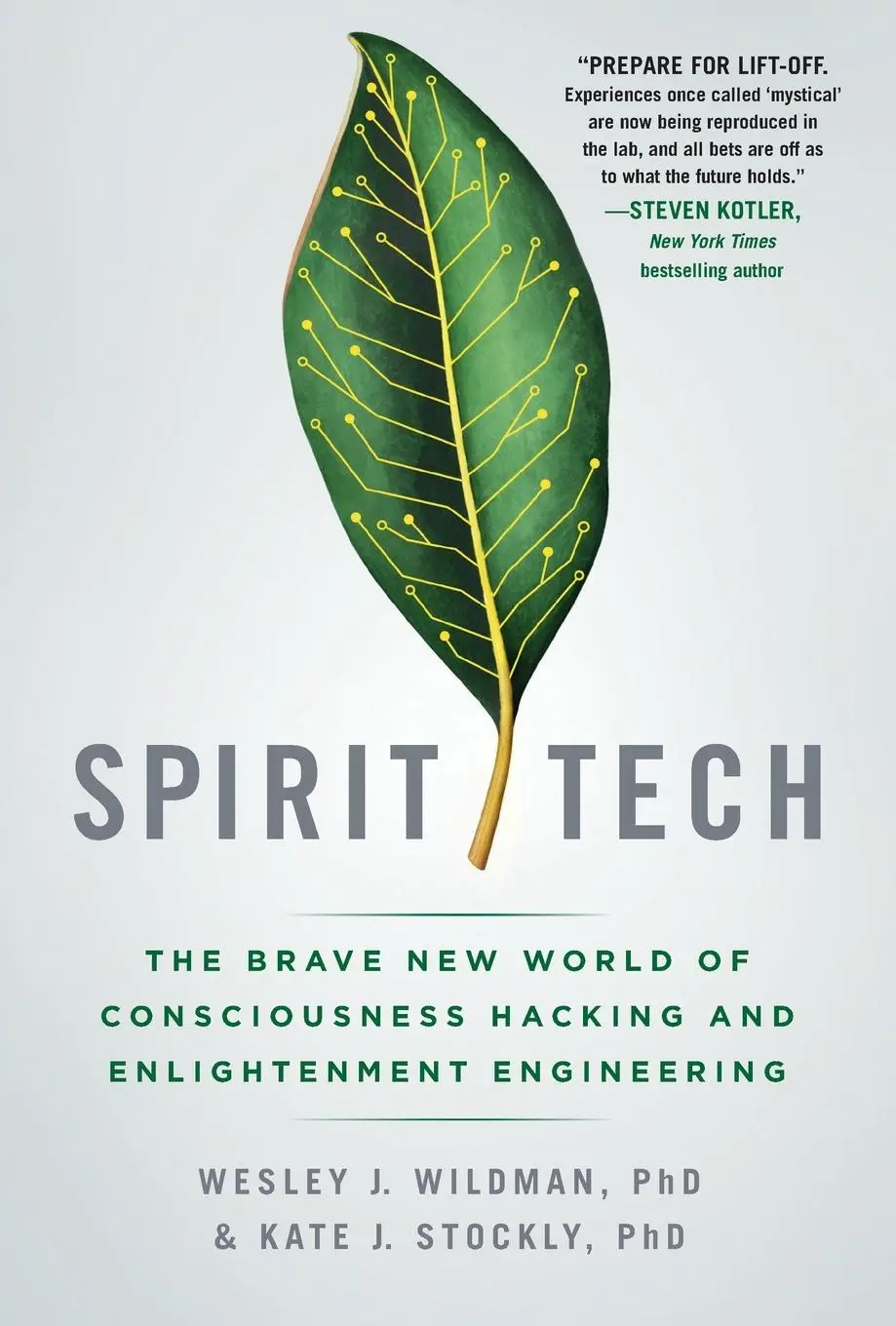 Cover: 9781250445391 | Spirit Tech | Wesley J. Wildman | Taschenbuch | Englisch | 2021