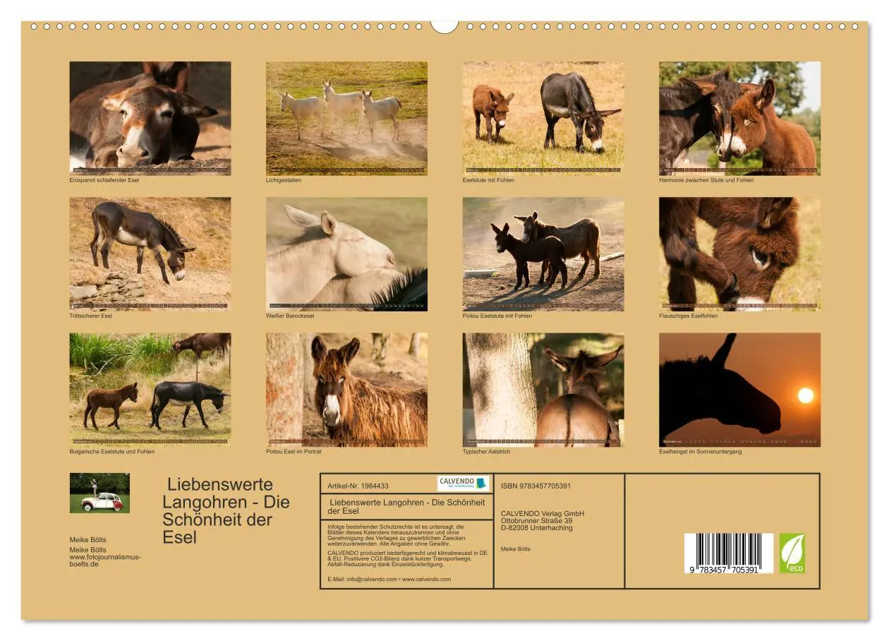 Bild: 9783457705391 | Liebenswerte Langohren - Die Schönheit der Esel (hochwertiger...