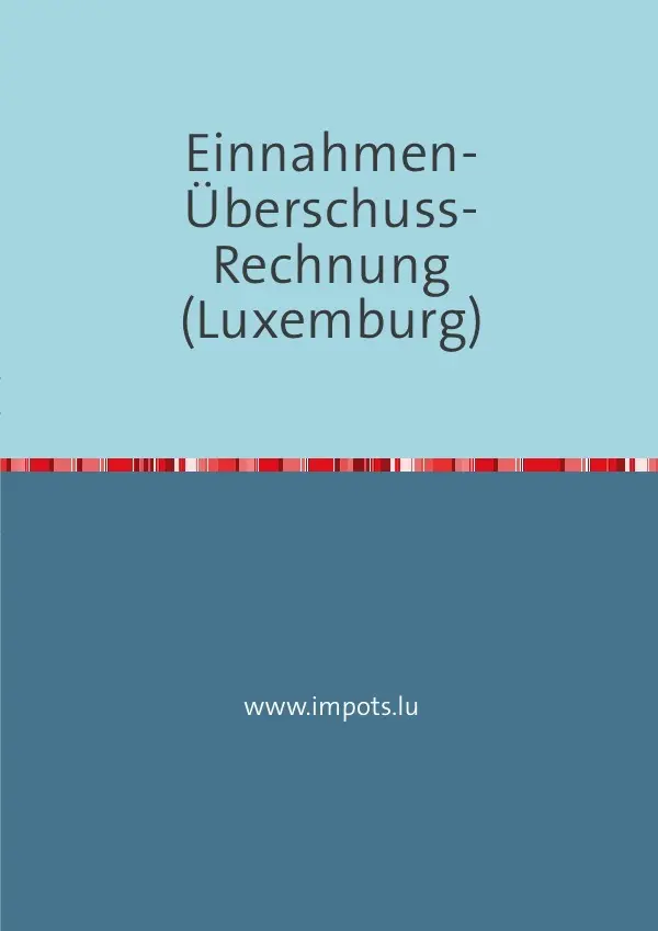Cover: 9783745035391 | Einnahmen-Überschuss-Rechnung (Luxemburg) | Joel Wengler | Taschenbuch