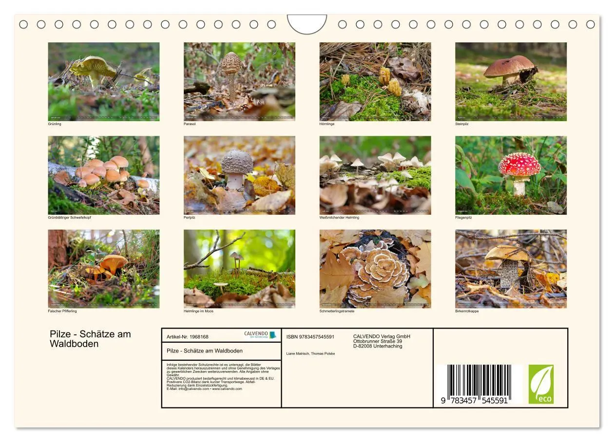 Bild: 9783457545591 | Pilze - Schätze am Waldboden (Wandkalender 2026 DIN A4 quer),...