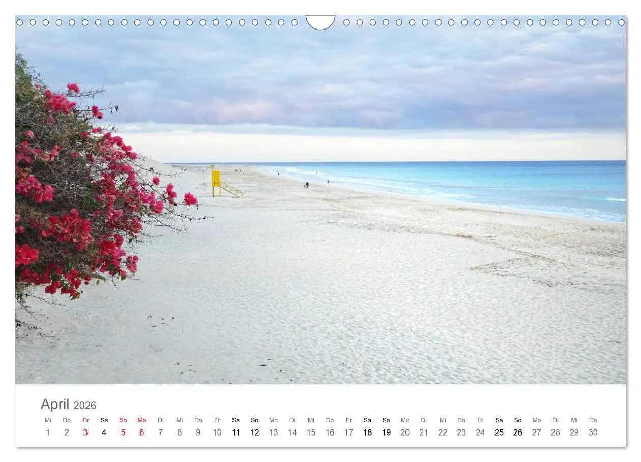 Bild: 9783457785591 | Fuerteventura - die Wüsteninsel der Kanaren (Wandkalender 2026 DIN...