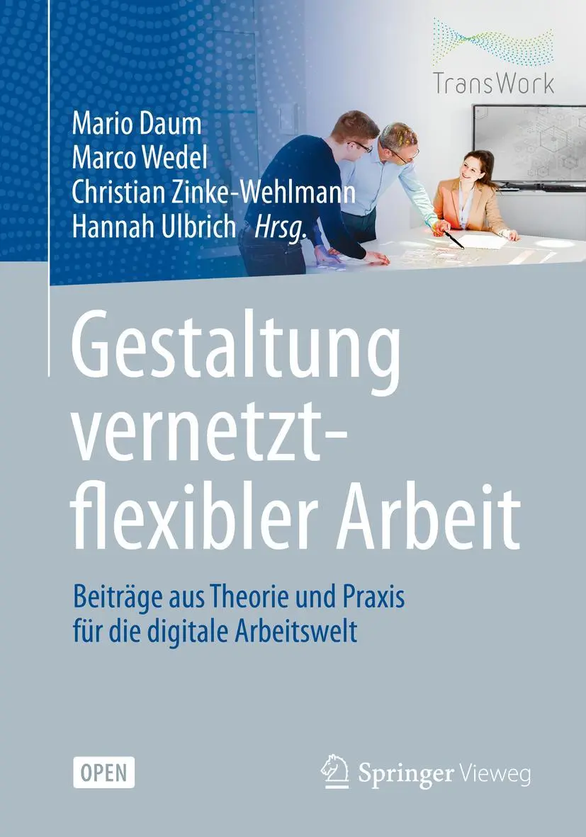 Cover: 9783662615591 | Gestaltung vernetzt-flexibler Arbeit | Mario Daum (u. a.) | Buch | xix