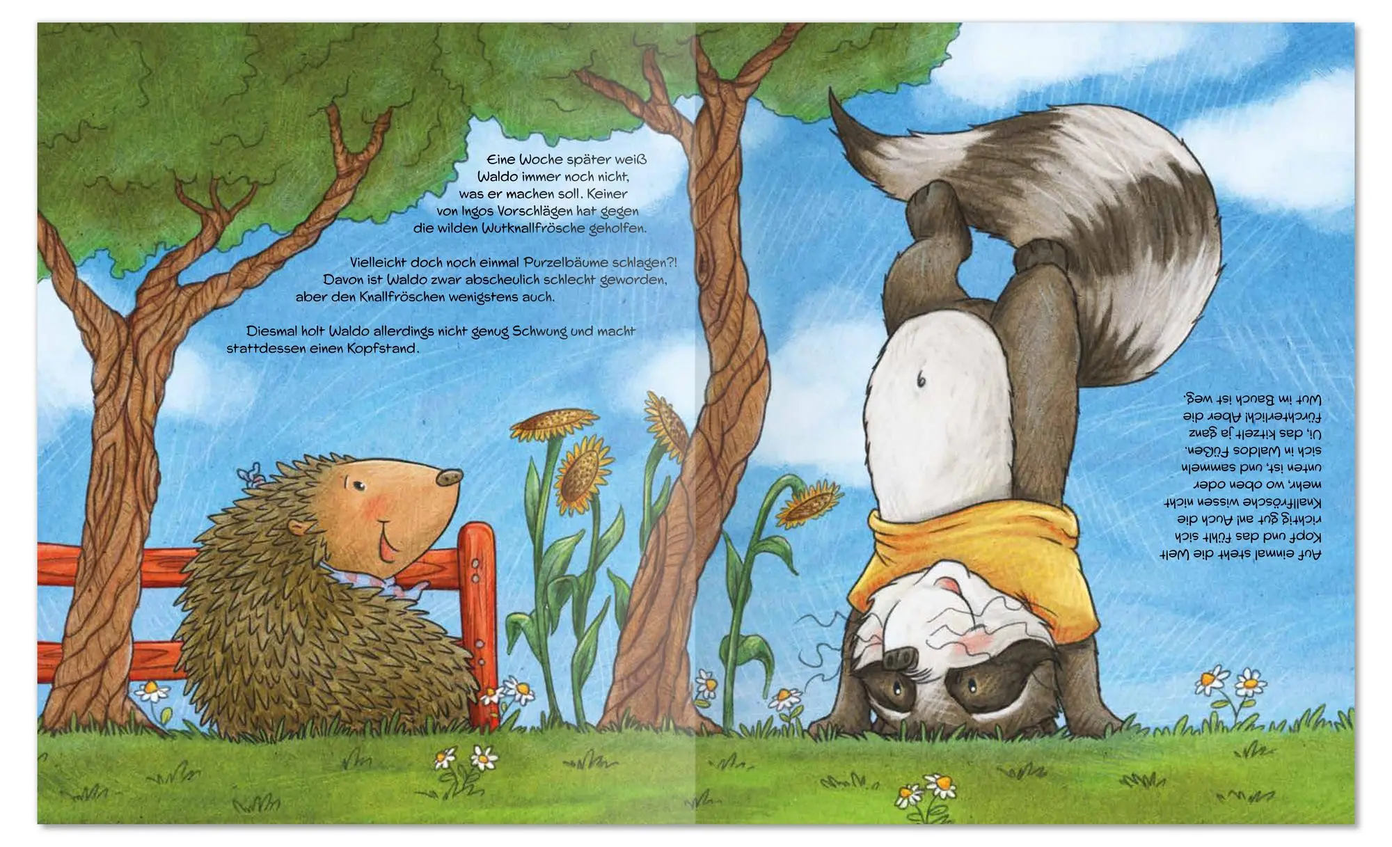 Bild: 9783780665591 | Wenn Waldo Waschbär wütend wird | Katharina Mauder | Buch | 32 S.