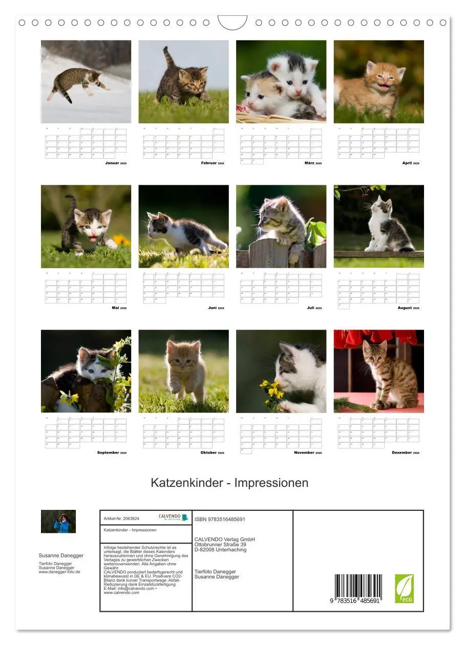 Bild: 9783516485691 | Katzenkinder - Impressionen (Wandkalender 2026 DIN A3 hoch),...