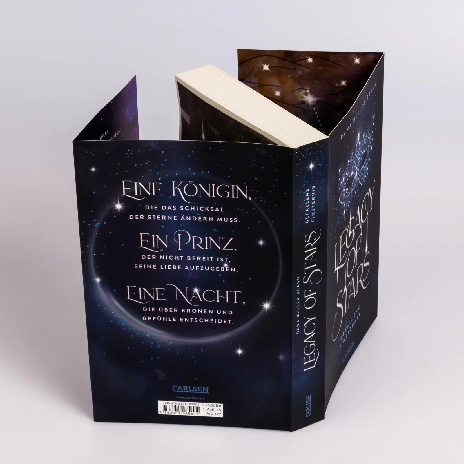 Bild: 9783551585691 | Legacy of Stars 2: Gefallene Finsternis | Dana Müller-Braun | Buch