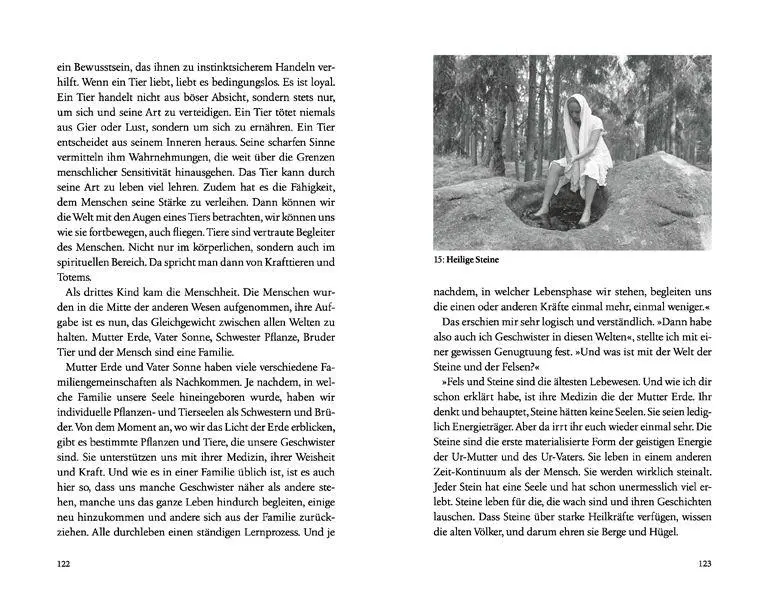 Bild: 9783778775691 | Der Ruf der Geister | Eine schamanische Einweihung | Rainbow | Buch