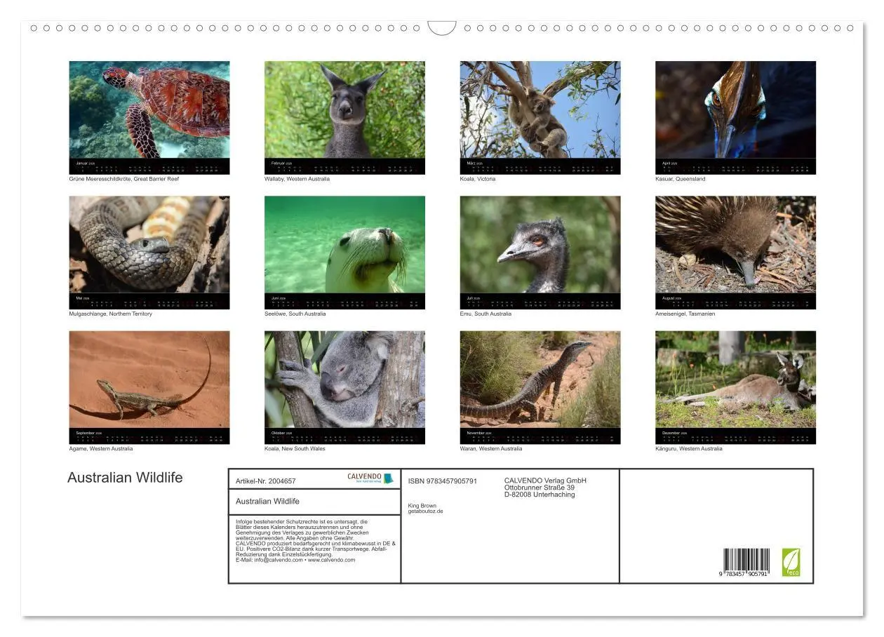 Bild: 9783457905791 | Australian Wildlife (Wandkalender 2026 DIN A2 quer), CALVENDO...
