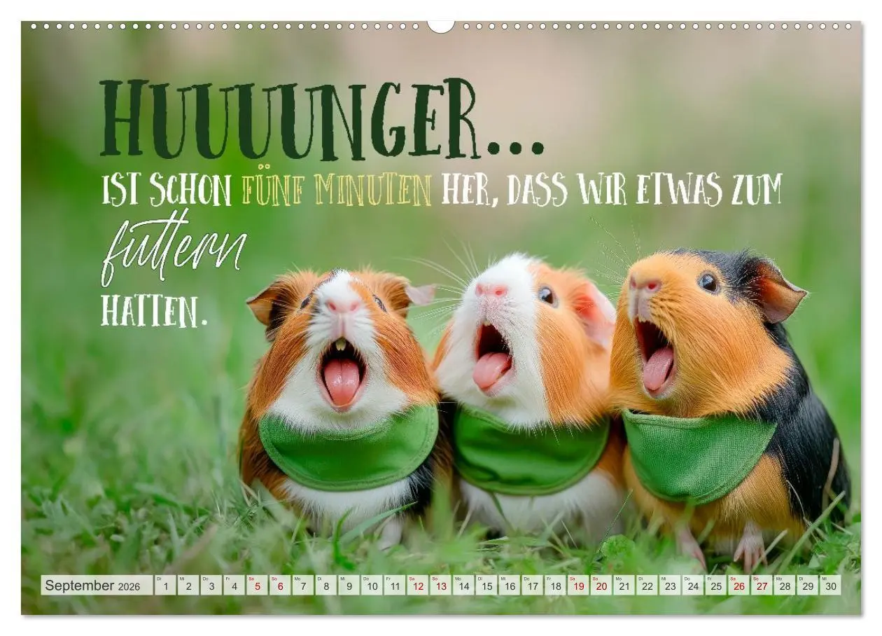 Bild: 9783516235791 | Meerschweinchen LUSTIG DURCHS JAHR (hochwertiger Premium...