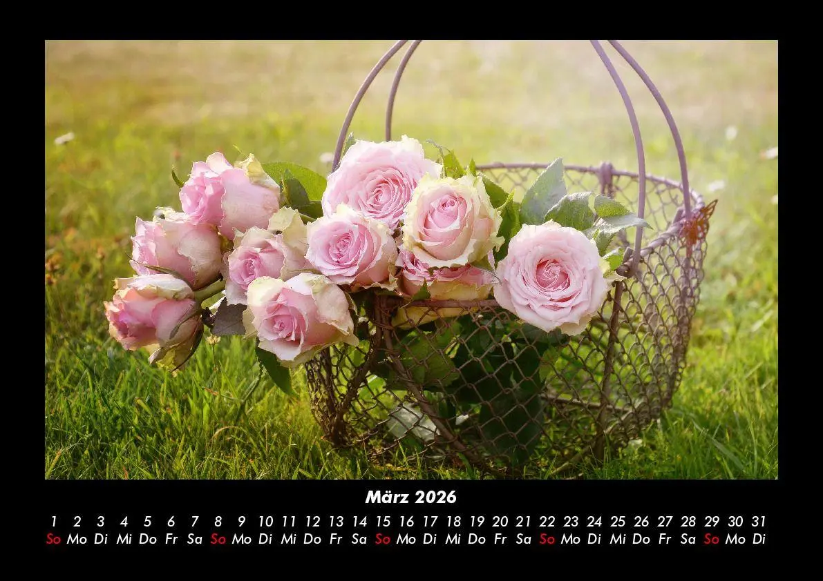 Bild: 9783755995791 | Rosen-Kalender 2026 Fotokalender DIN A3 | Tobias Becker | Kalender