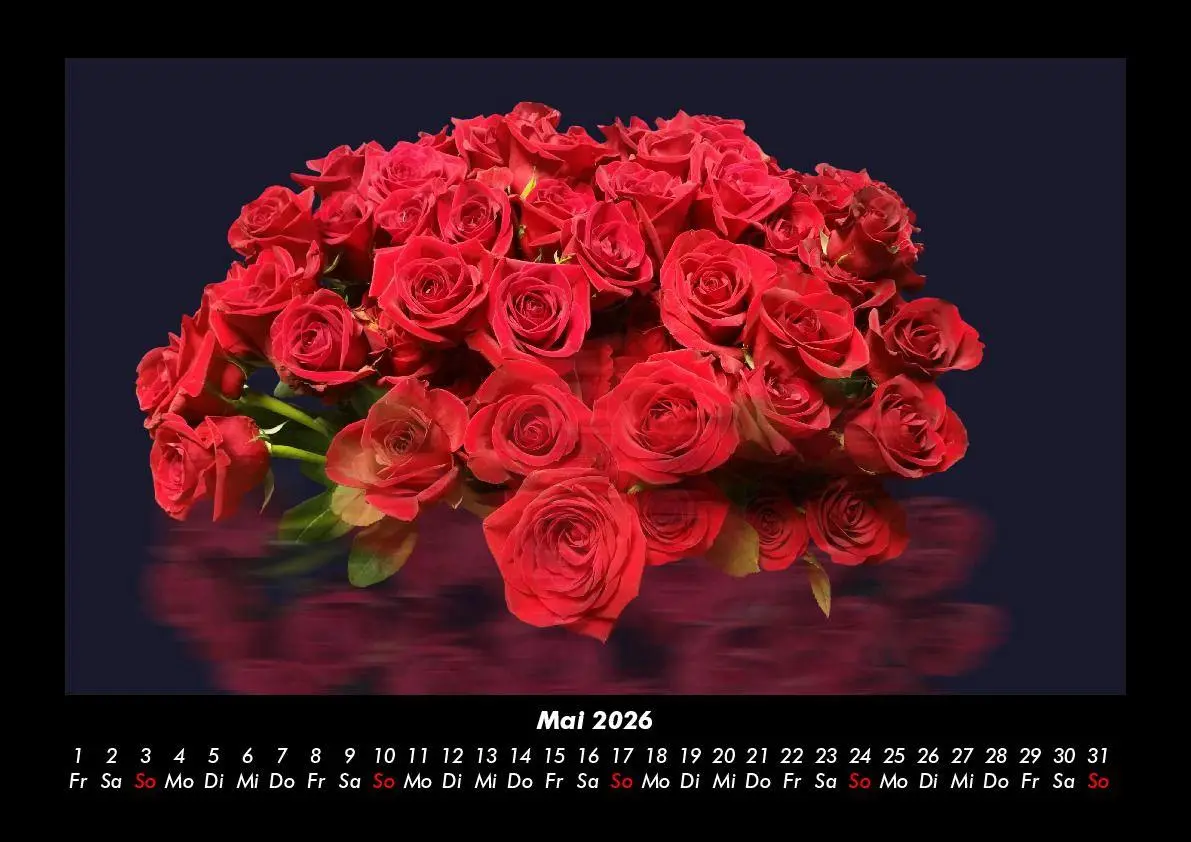 Bild: 9783755995791 | Rosen-Kalender 2026 Fotokalender DIN A3 | Tobias Becker | Kalender