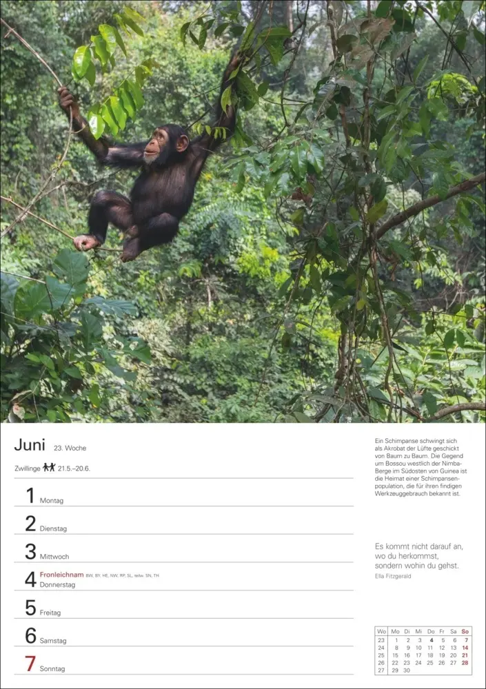 Bild: 9783840035791 | Wunder der Natur Wochenplaner 2026 - 53 faszinierende Fotografien