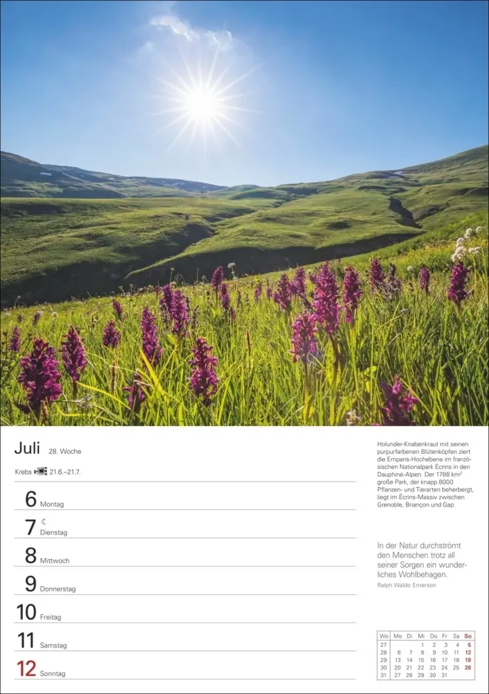Bild: 9783840035791 | Wunder der Natur Wochenplaner 2026 - 53 faszinierende Fotografien
