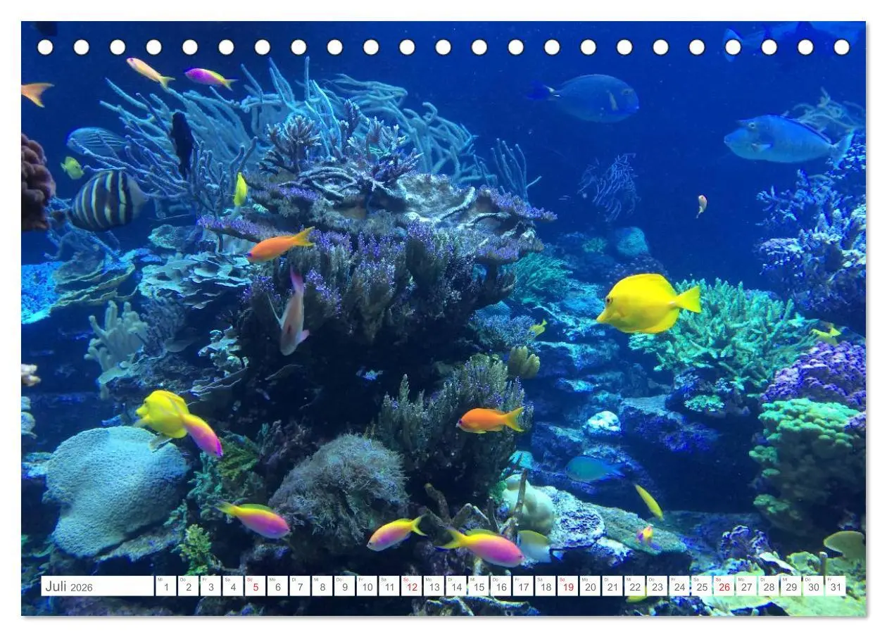Bild: 9783516085891 | Malediven - Traumstrände im Paradies (Tischkalender 2026 DIN A5...