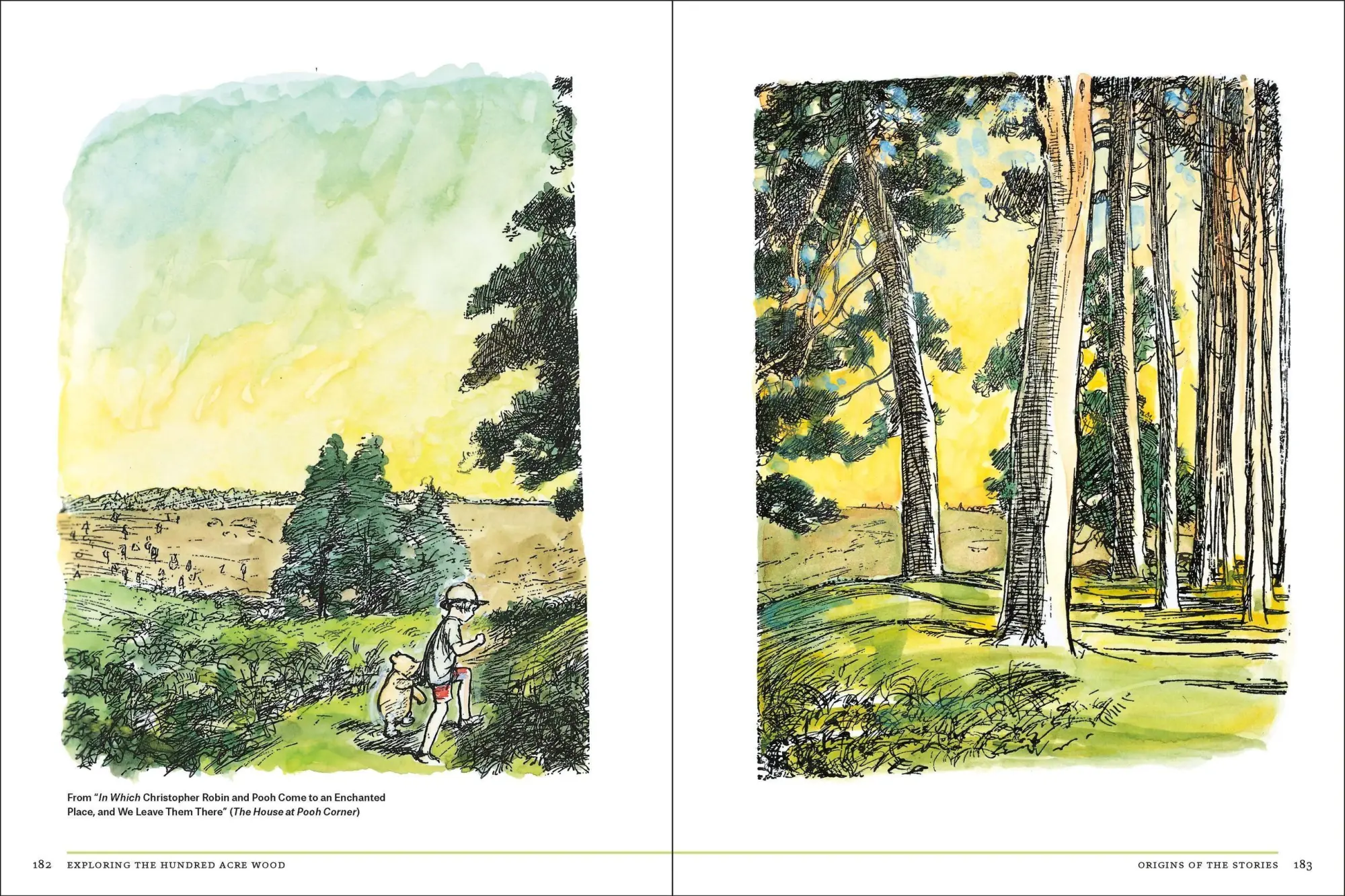 Bild: 9781604695991 | The Natural World of Winnie-The-Pooh | Kathryn Aalto | Buch | Gebunden