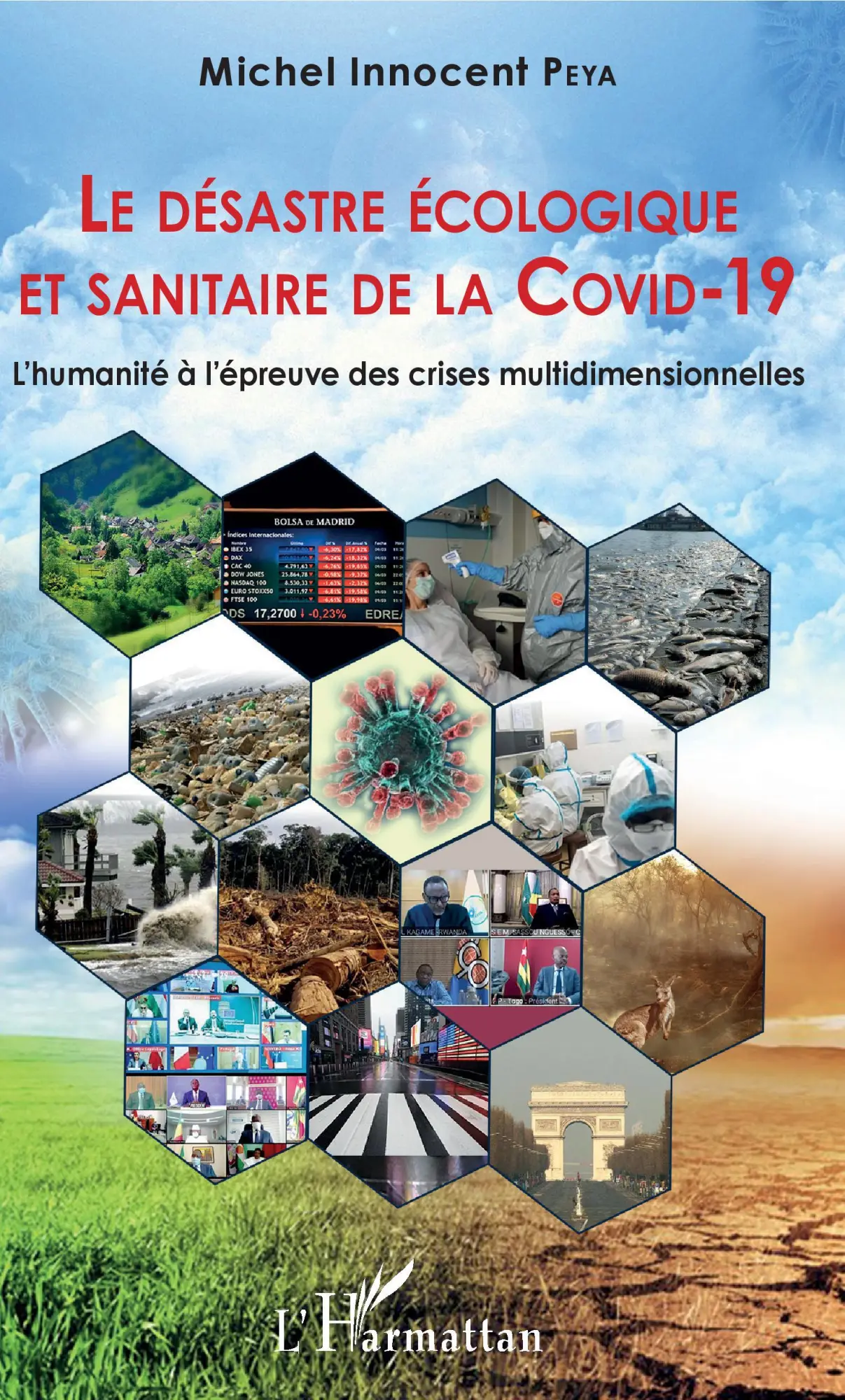 Cover: 9782343205991 | Le désastre écologique et sanitaire de la COVID-19 | Peya | Buch