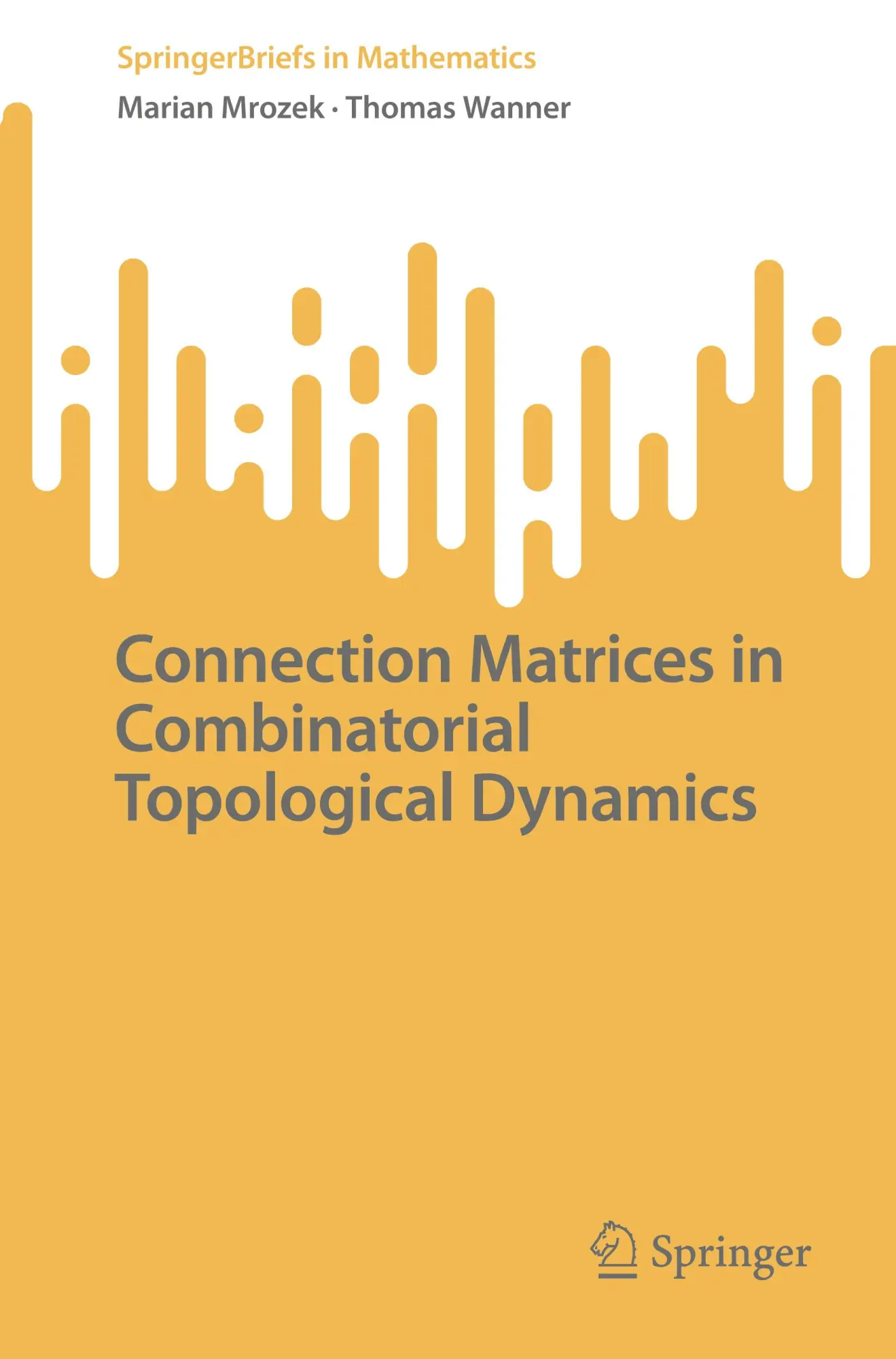 Cover: 9783031875991 | Connection Matrices in Combinatorial Topological Dynamics | Buch | xii
