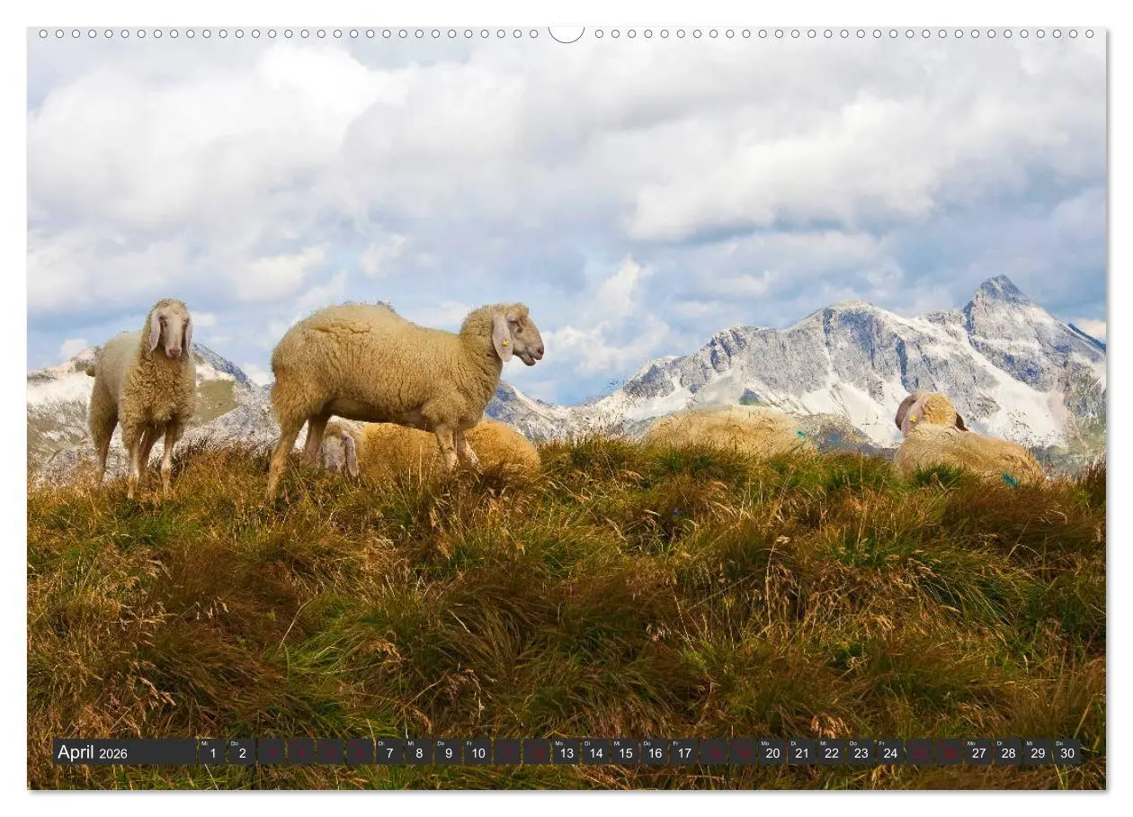 Bild: 9783457745991 | Kimm eina in den Lungau (hochwertiger Premium Wandkalender 2026 DIN...