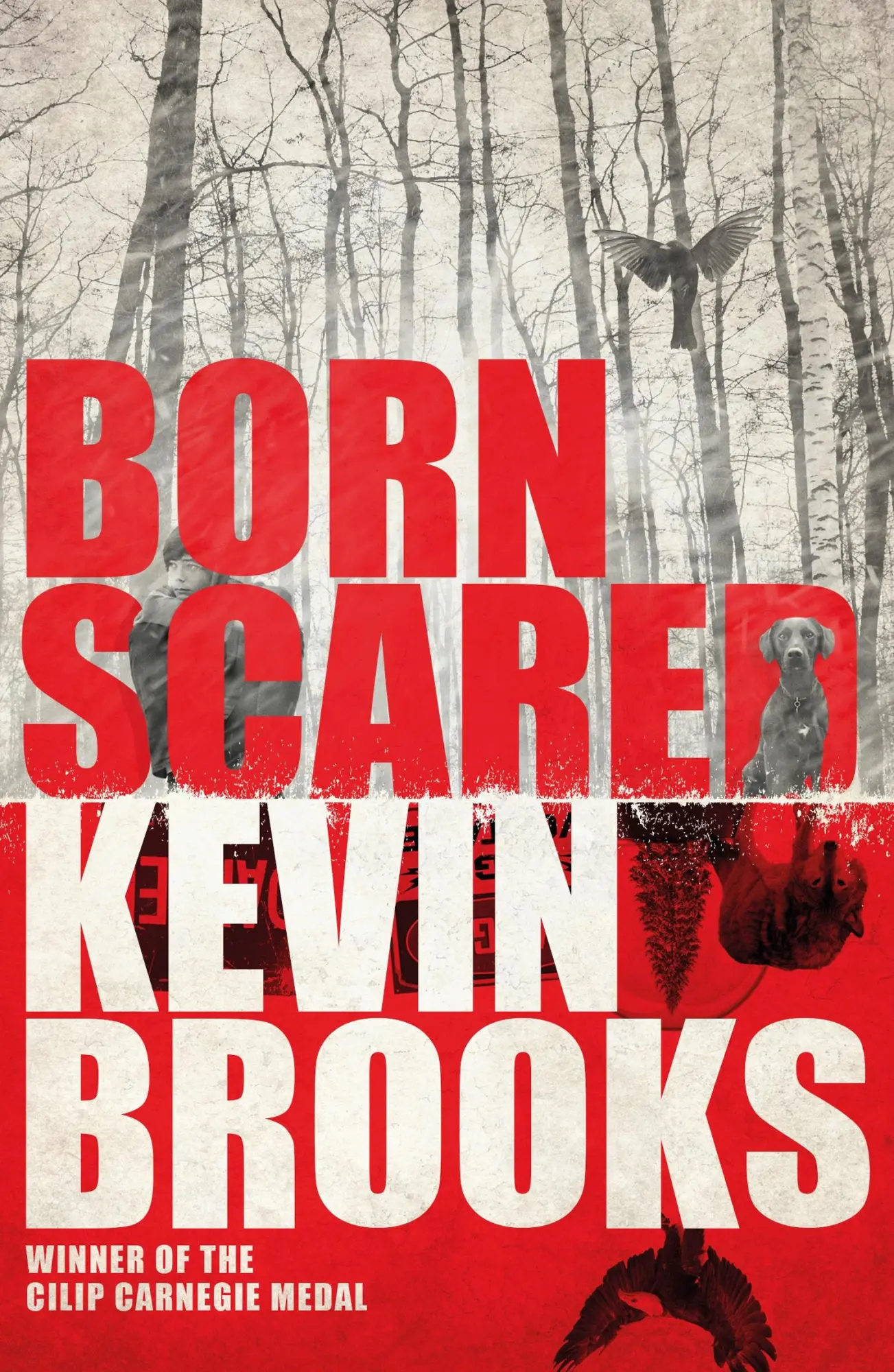 Cover: 9781405276191 | Born Scared | Kevin Brooks | Taschenbuch | 243 S. | Englisch | 2016