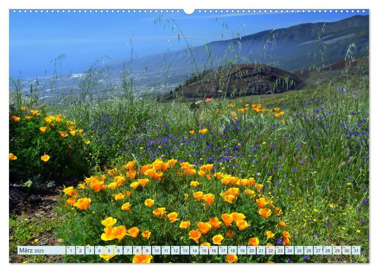 Bild: 9783435086191 | Teneriffa - Insel der Glückseligen (Wandkalender 2025 DIN A2 quer),...
