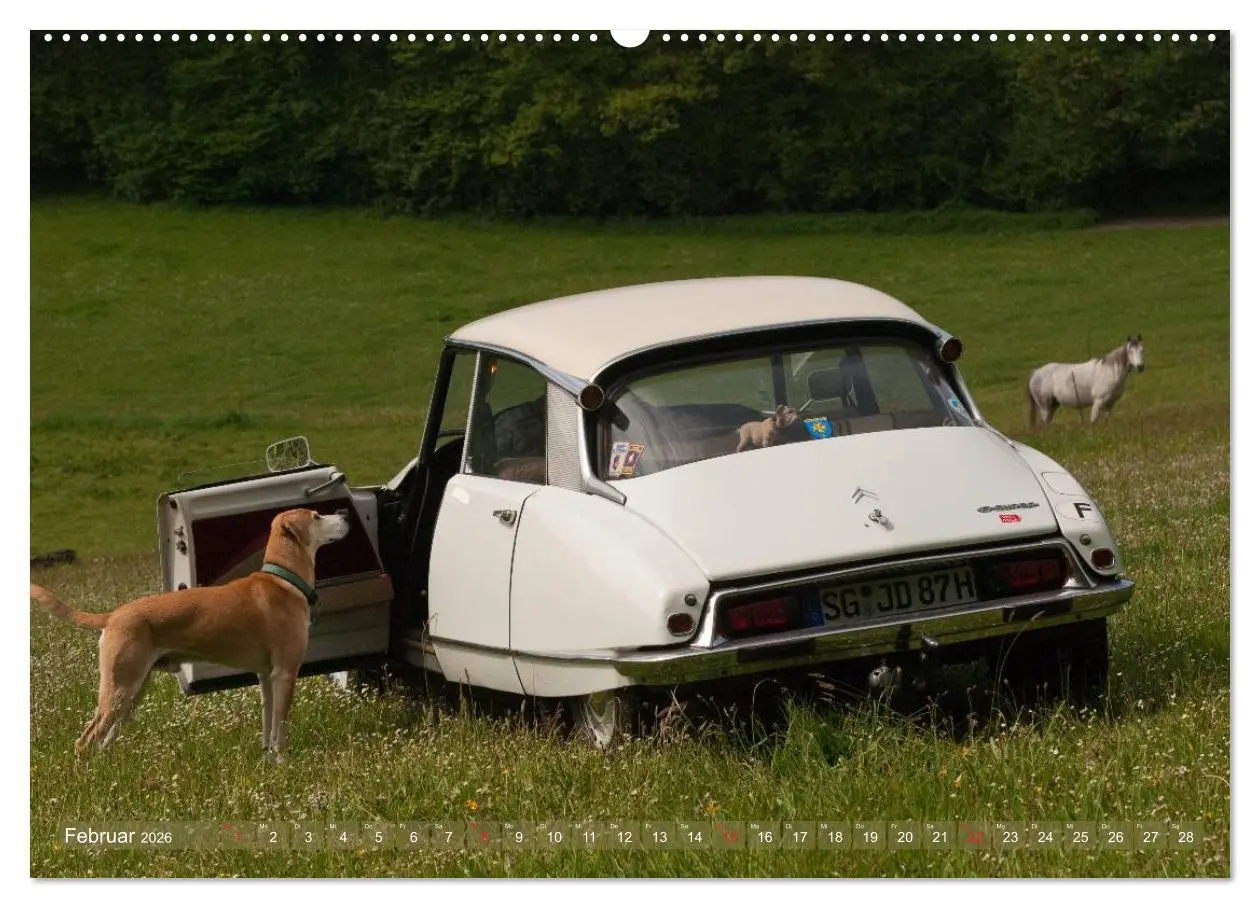 Bild: 9783516026191 | Citroën DS - Göttin in weiß (hochwertiger Premium Wandkalender 2026...