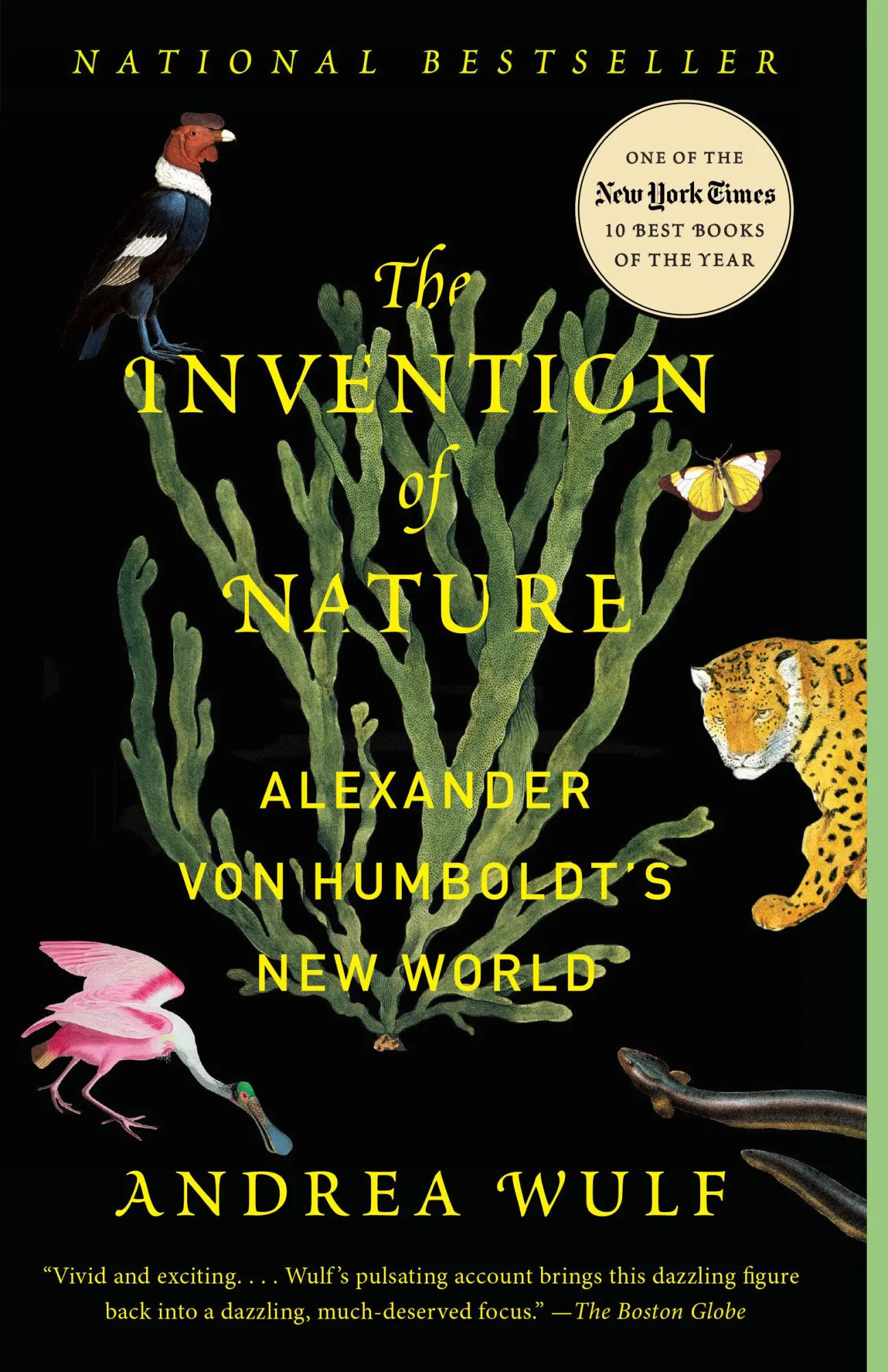 Cover: 9780345806291 | The Invention of Nature | Alexander von Humboldt's New World | Wulf Cover: 9780345806291 | The Invention of Nature | Alexander von Humboldt's New World | Wulf