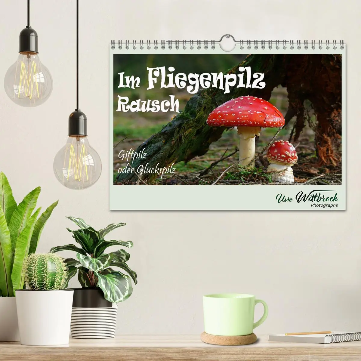 Bild: 9783457546291 | Im Fliegenpilz Rausch (Wandkalender 2026 DIN A4 quer), CALVENDO...