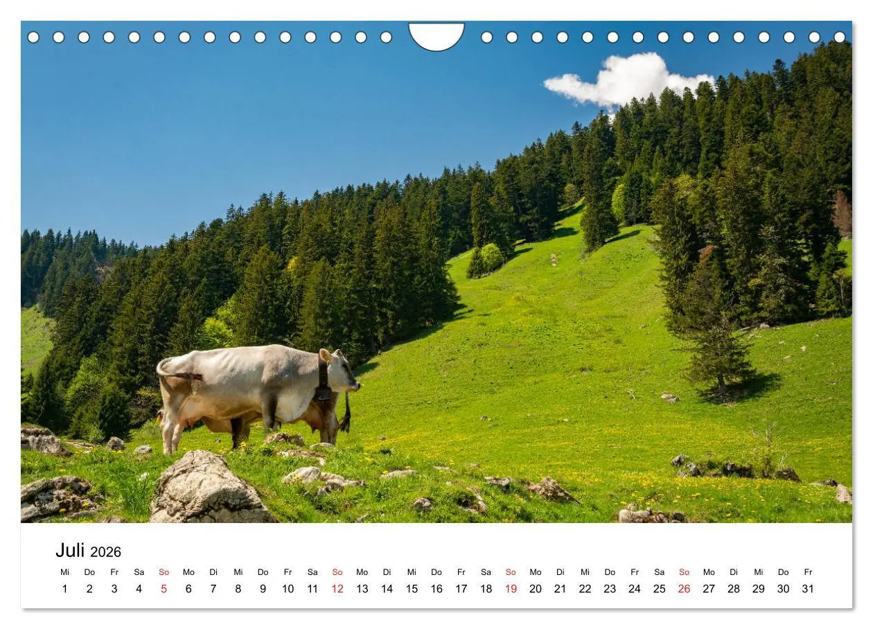 Bild: 9783457786291 | Gesichter der Schweiz - Walliser Weiden (Wandkalender 2026 DIN A4...