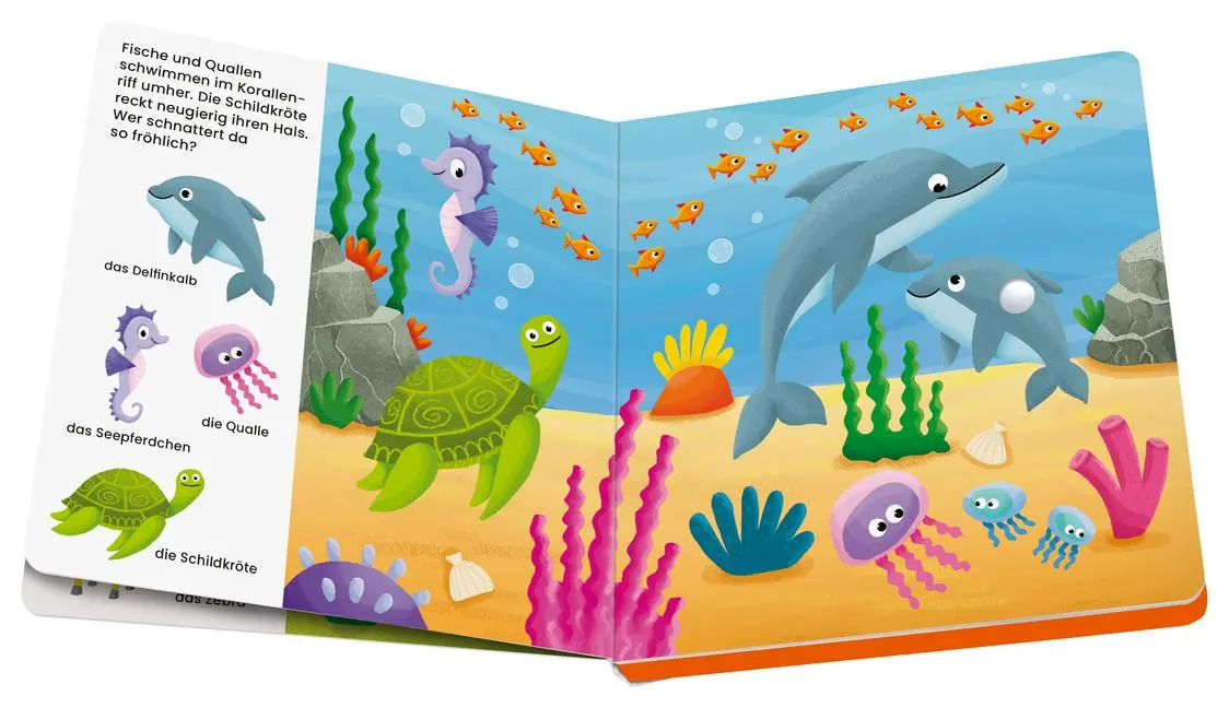 Bild: 9783473456291 | Play+ Mein allererstes Soundbuch Tierkinder - ab 12 Monate | Höck