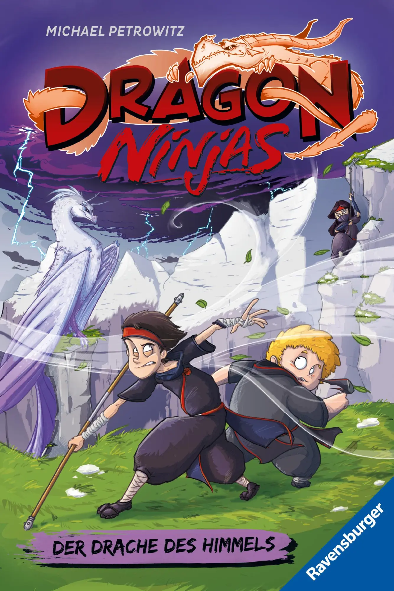 Cover: 9783473526291 | Dragon Ninjas, Band 3 - Der Drache des Himmels | Michael Petrowitz