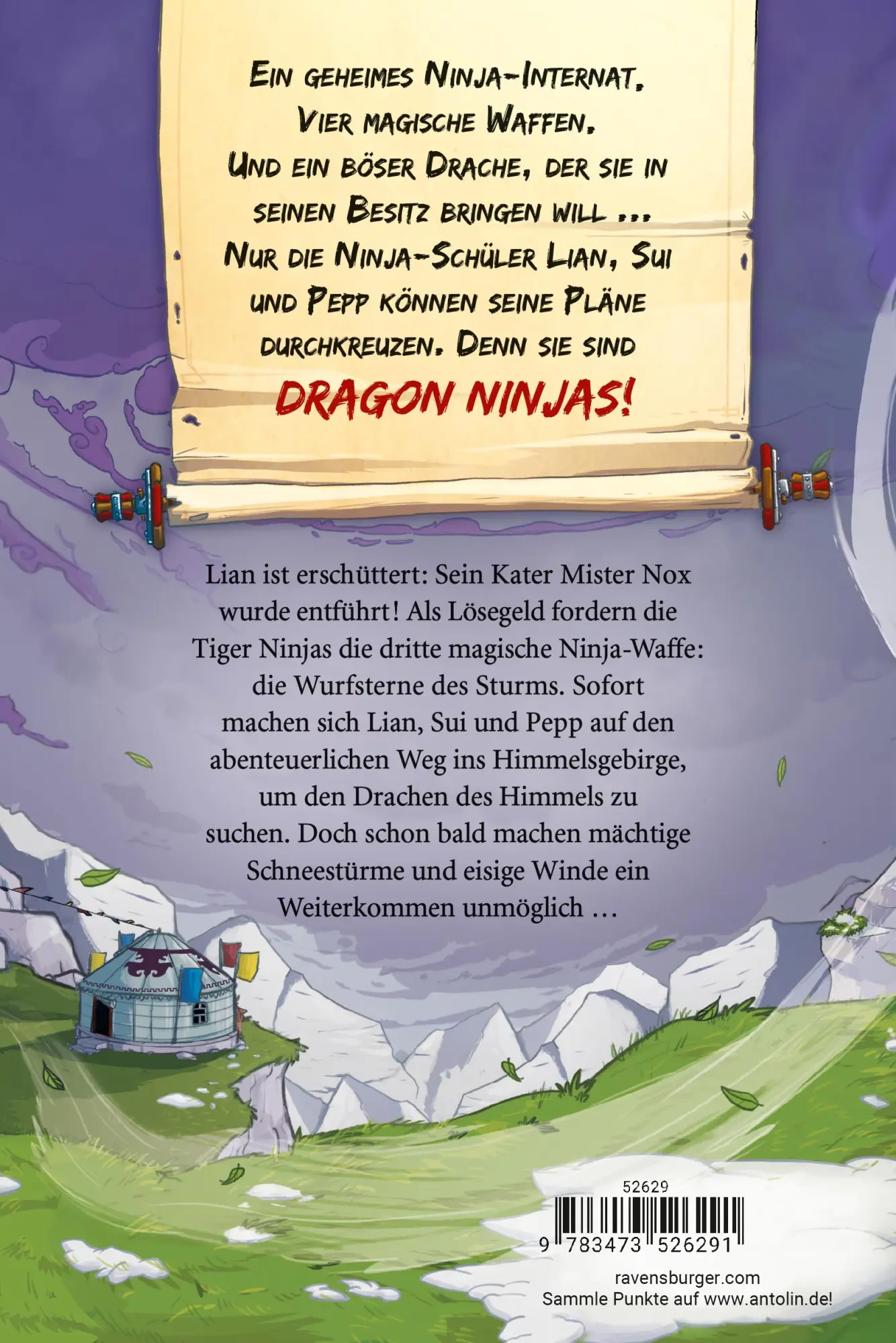Rückseite: 9783473526291 | Dragon Ninjas, Band 3 - Der Drache des Himmels | Michael Petrowitz
