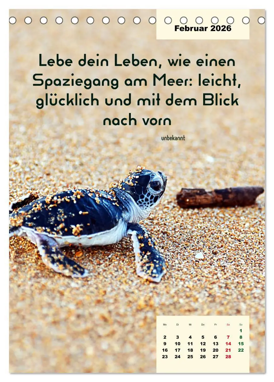 Bild: 9783516326291 | Verrückt nach MEER - Wellen - Strand - Zitate (Tischkalender 2026...