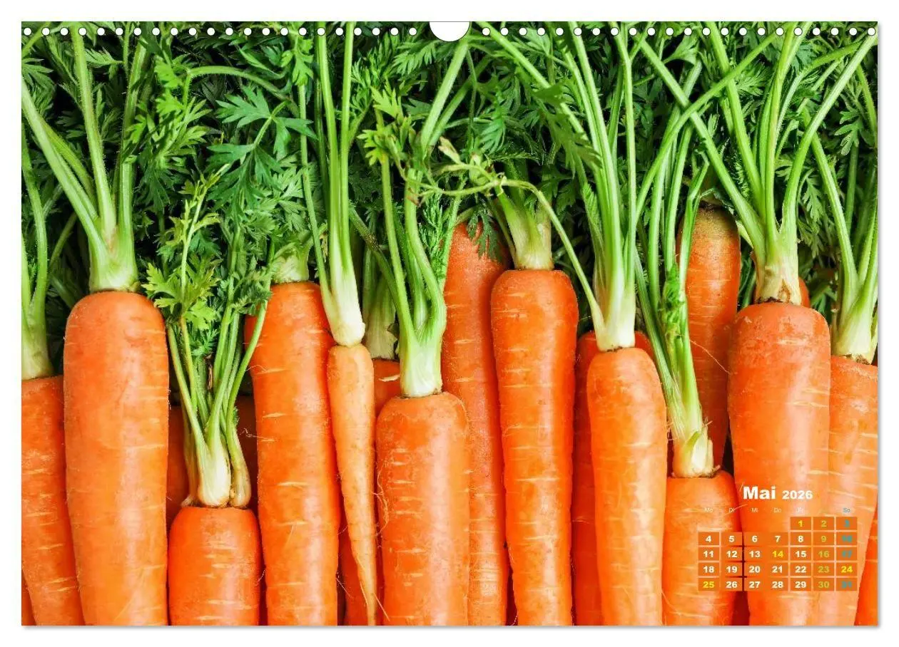 Bild: 9783516706291 | Die Welt in Orange (Wandkalender 2026 DIN A3 quer), CALVENDO...