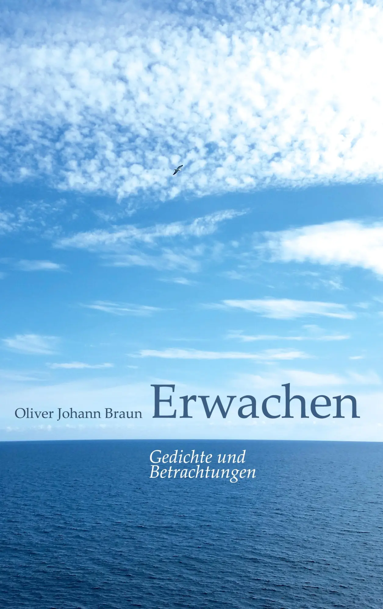 Cover: 9783754306291 | Erwachen | Gedichte und Betrachtungen | Oliver Johann Braun | Buch