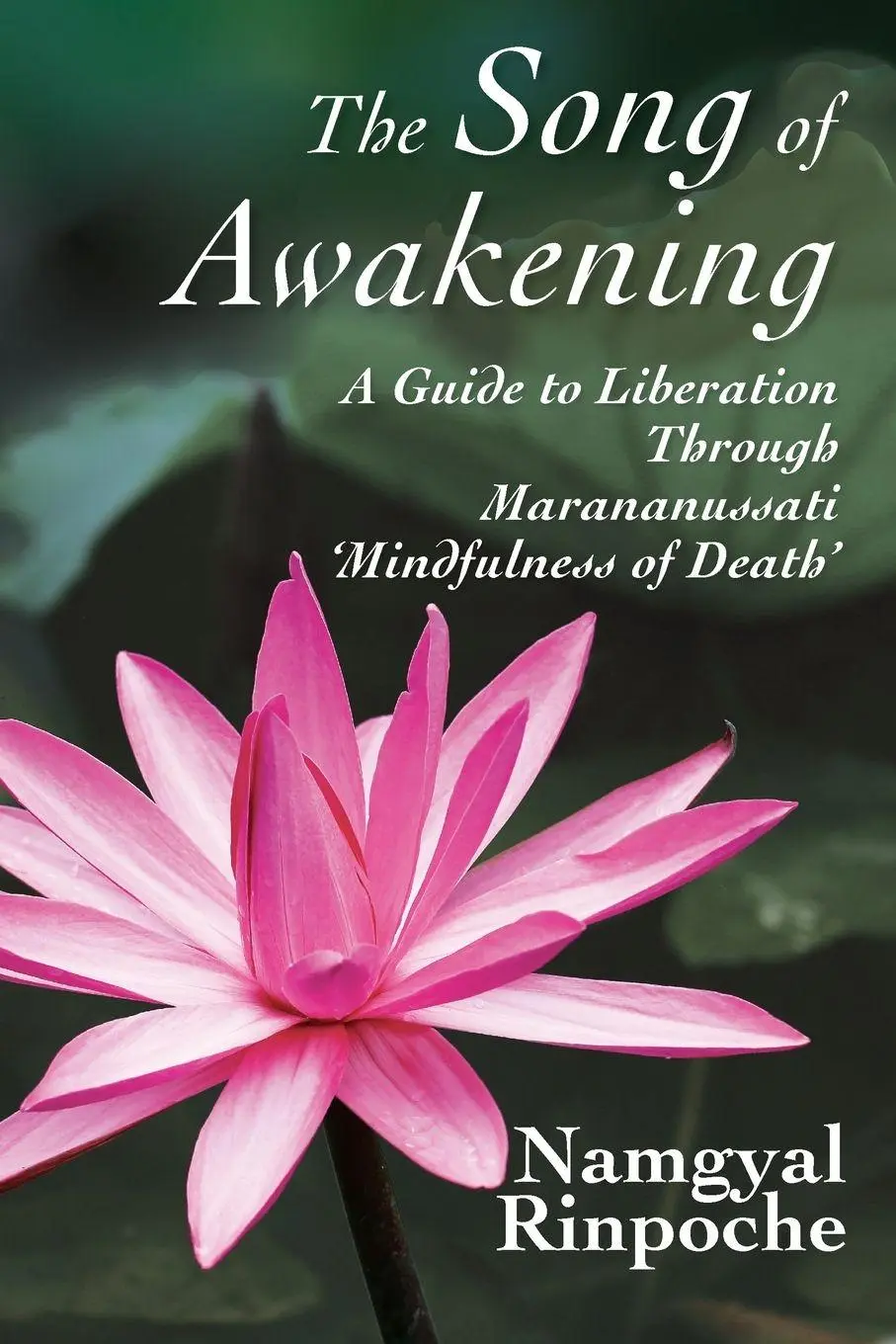 Cover: 9781895316391 | The Song of Awakening | Namgyal Rinpoche | Taschenbuch | Englisch