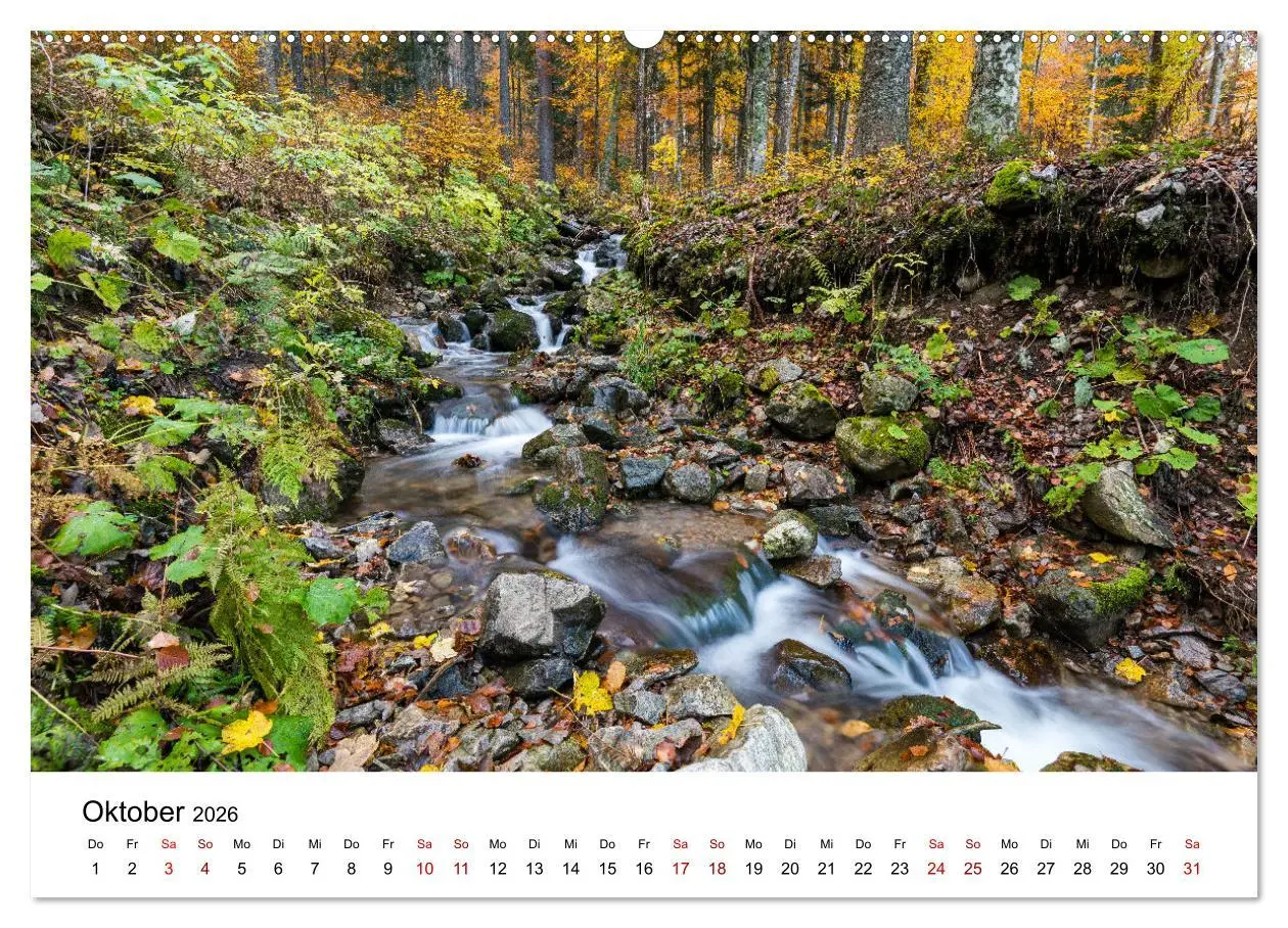 Bild: 9783457456491 | Freiburg, Drumherum (hochwertiger Premium Wandkalender 2026 DIN A2...