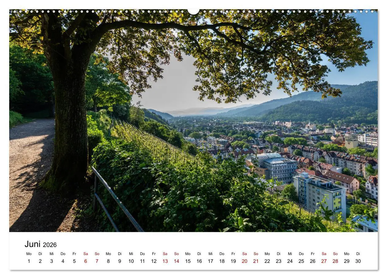 Bild: 9783457456491 | Freiburg, Drumherum (hochwertiger Premium Wandkalender 2026 DIN A2...