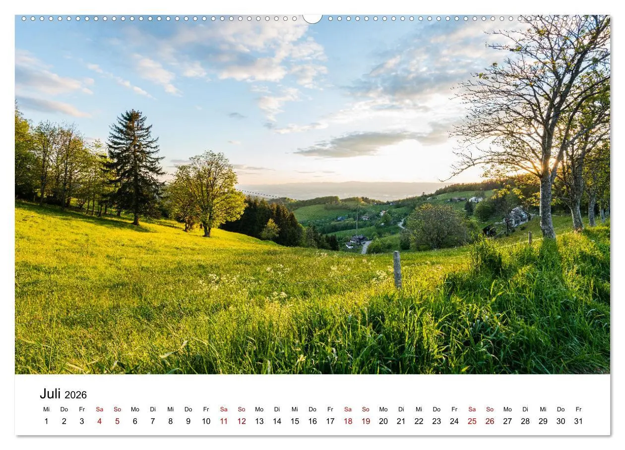Bild: 9783457456491 | Freiburg, Drumherum (hochwertiger Premium Wandkalender 2026 DIN A2...