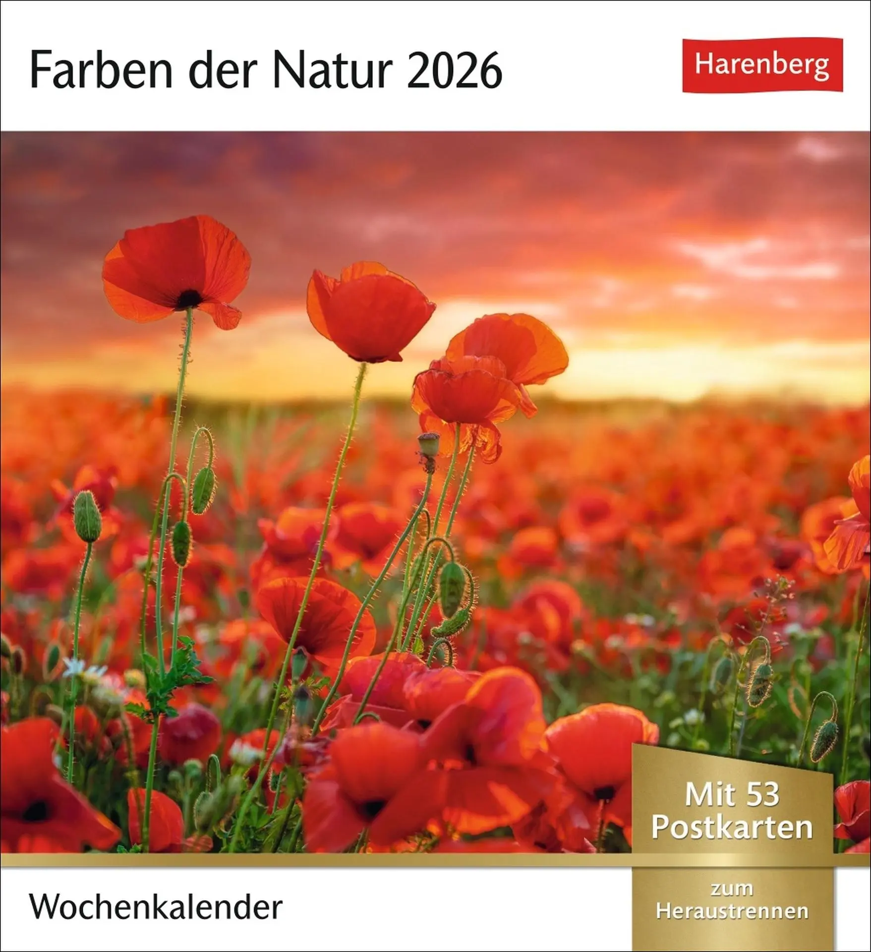Cover: 9783840036491 | Farben der Natur Postkartenkalender 2026 - Wochenkalender mit 53...