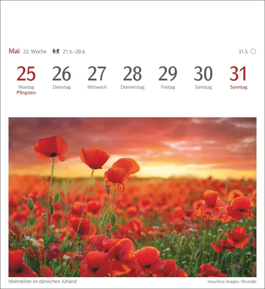 Bild: 9783840036491 | Farben der Natur Postkartenkalender 2026 - Wochenkalender mit 53...