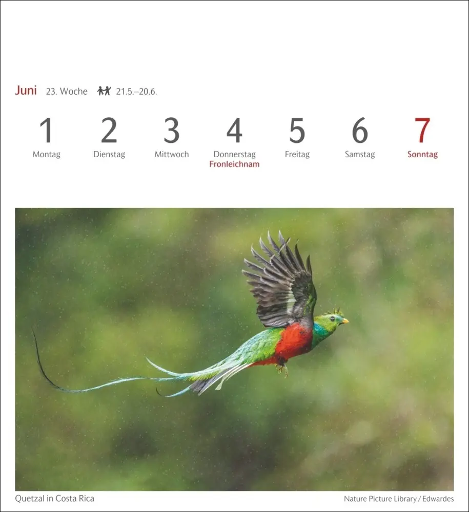 Bild: 9783840036491 | Farben der Natur Postkartenkalender 2026 - Wochenkalender mit 53...