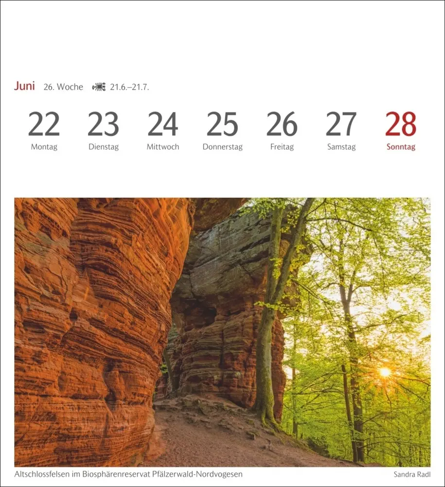 Bild: 9783840036491 | Farben der Natur Postkartenkalender 2026 - Wochenkalender mit 53...